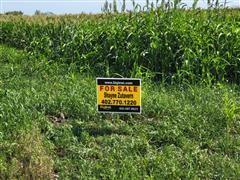 Acreage Property 1.jpg