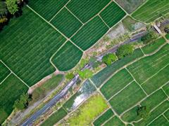 tracking number.jpeg