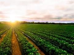 Residential property