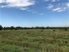 Tract 2: 150+/- acres, Newyork